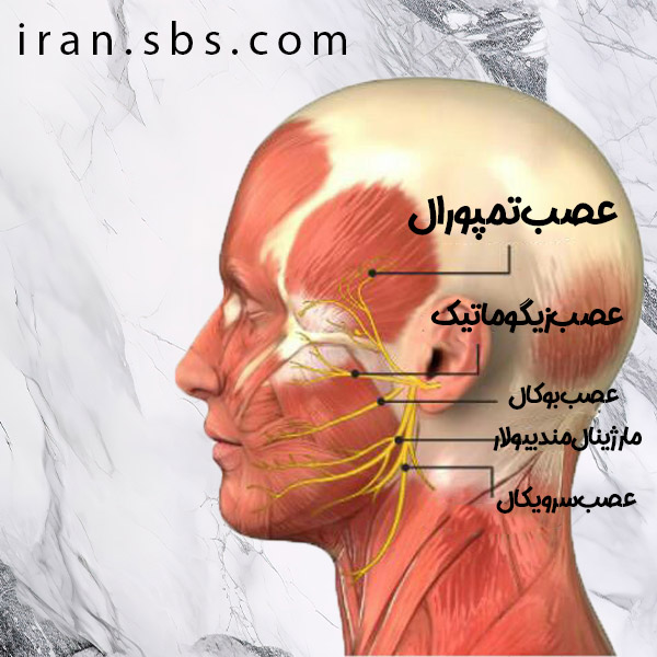 آسیب دیدگی عصب صورت _ انجمن جراحان قاعده جمجمه