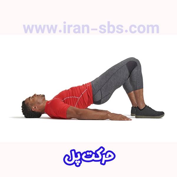 حرکت پل - جراحان قاعده جمجمه - iran-sbs.com