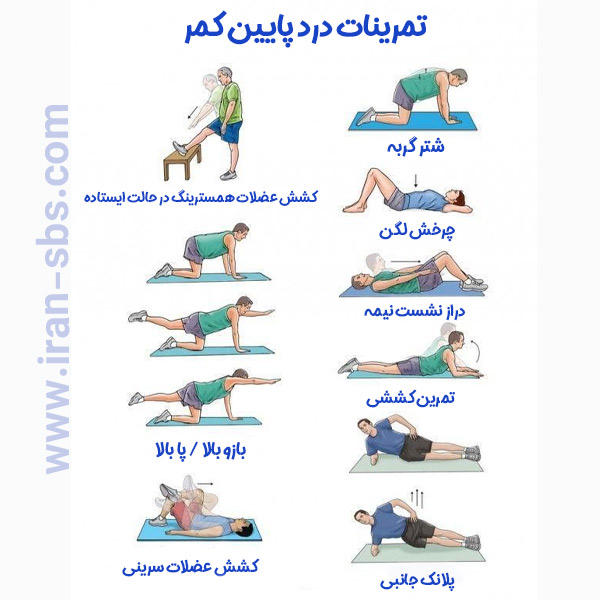 ورزش های ویلیامز- جراحان قاعده جمجمه -iran-sbs.com