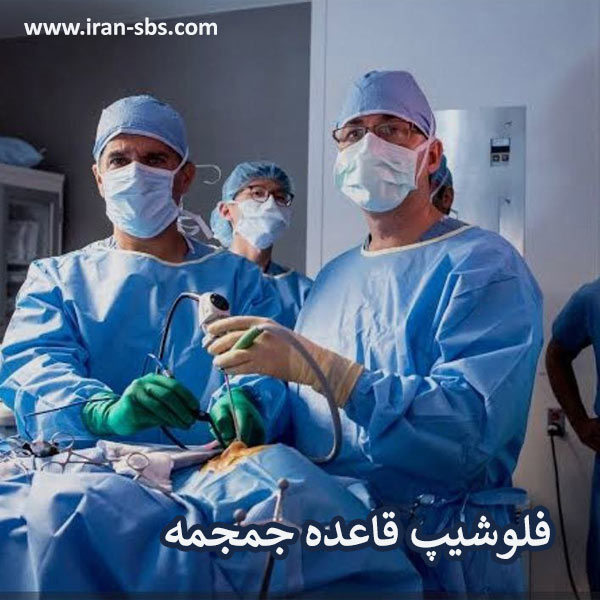 فلوشیپ قاعده جمجمه- جراحان قاعده جمجمه - iran-sbs.com